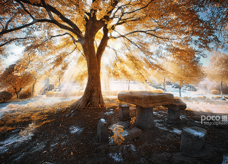 PS後期打造柔和光線(xiàn)穿越林間“丁達爾效應”詳細教程